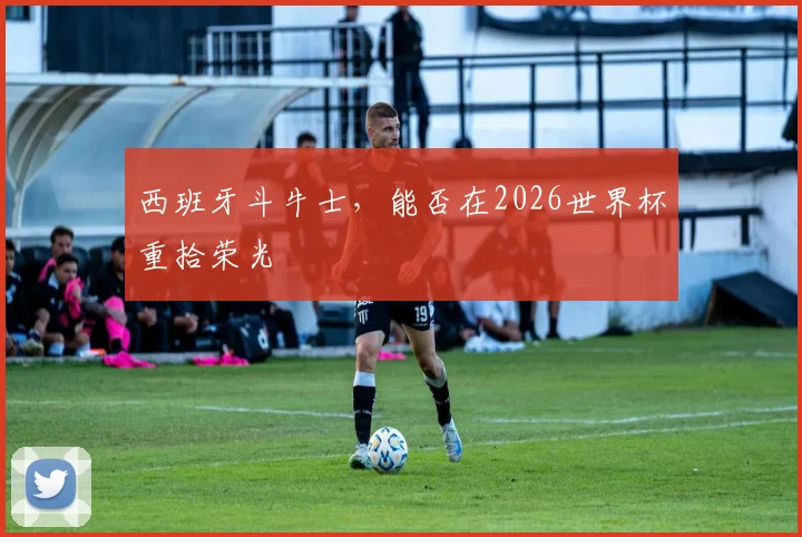 西班牙斗牛士，能否在2026世界杯重拾荣光
